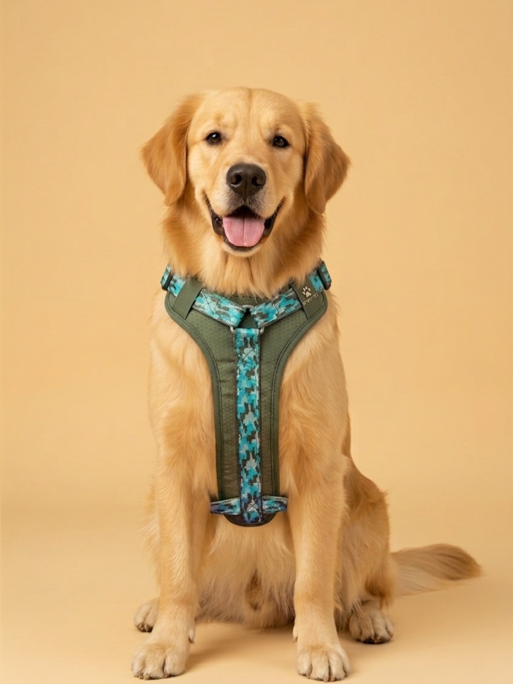 Sport Pet dog harness in an olive/camo color scheme. With blue leash.